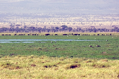 Kenia (160)